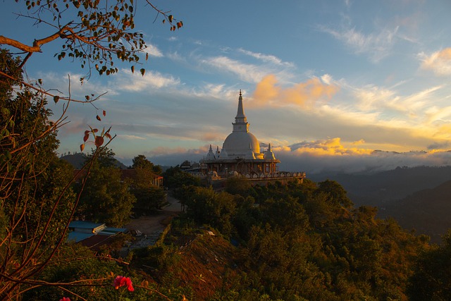 Voyager au Sri Lanka : les essentiels